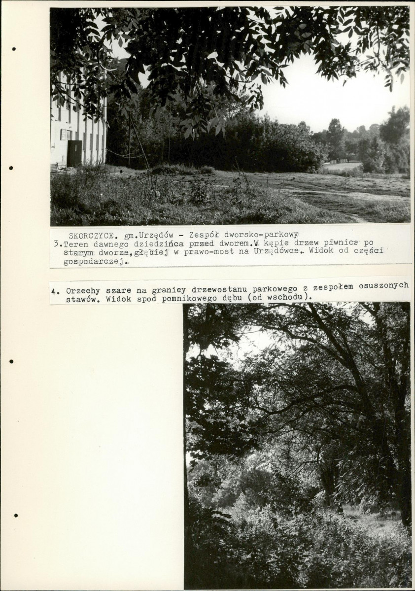 Ewidencja parkowa, skan nr 44