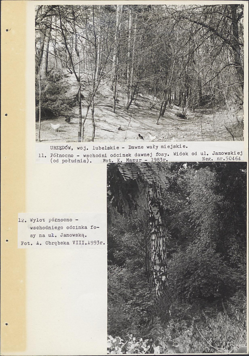 Ewidencja parkowa, skan nr 42