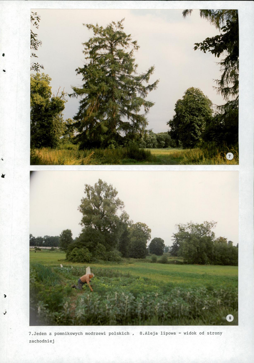 EP - Ewidencja parkowa, skan nr 40