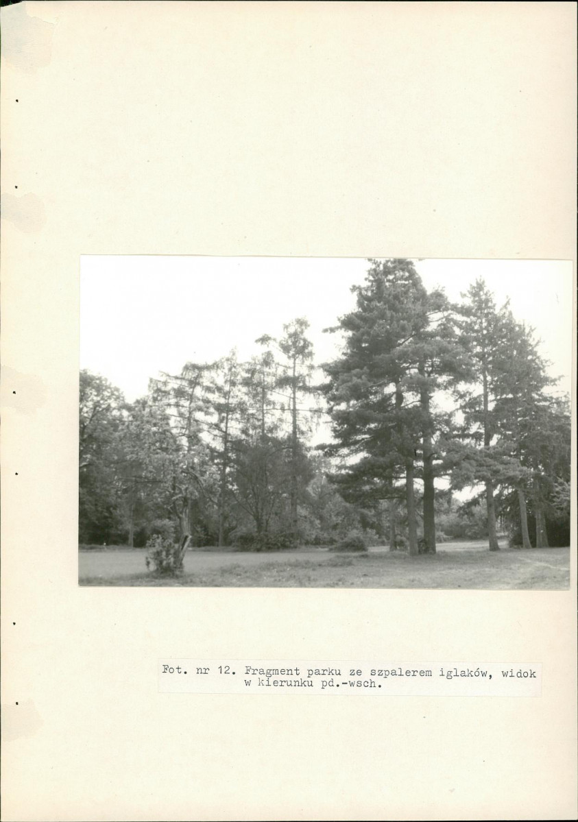 EP - Ewidencja parkowa, skan nr 42