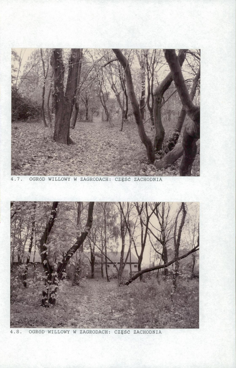 EP - Ewidencja parkowa, skan nr 56