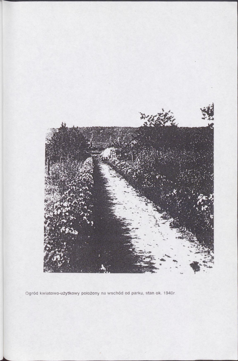 Ewidencja parkowa, skan nr 28