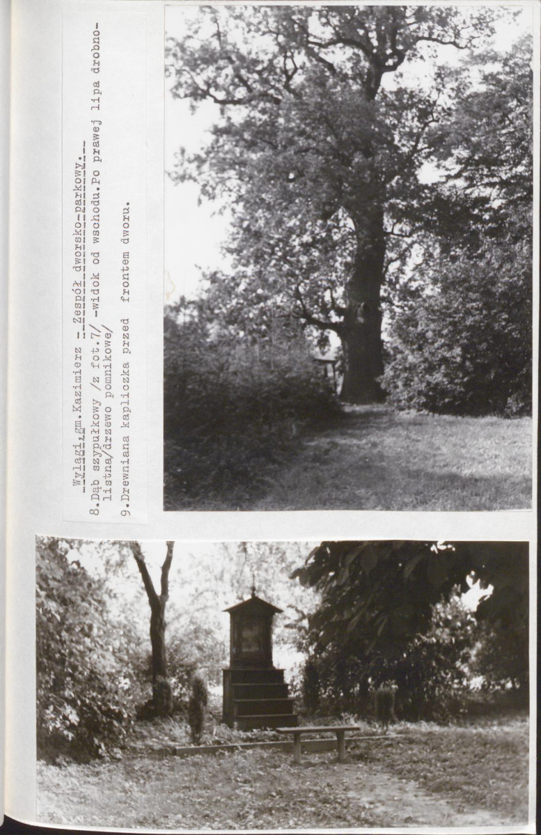 Ewidencja parkowa, skan nr 46