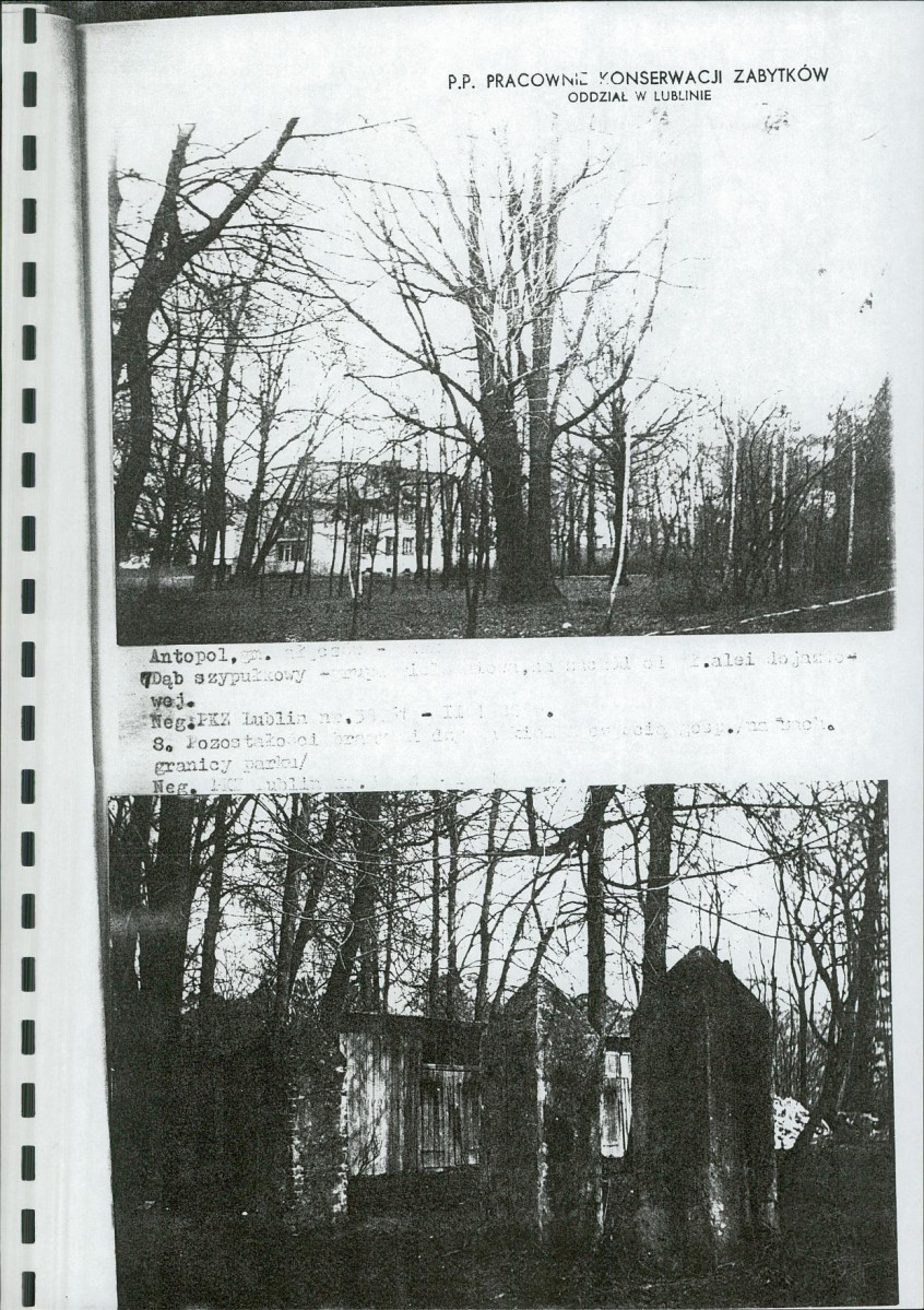 Ewidencja parkowa, skan nr 24