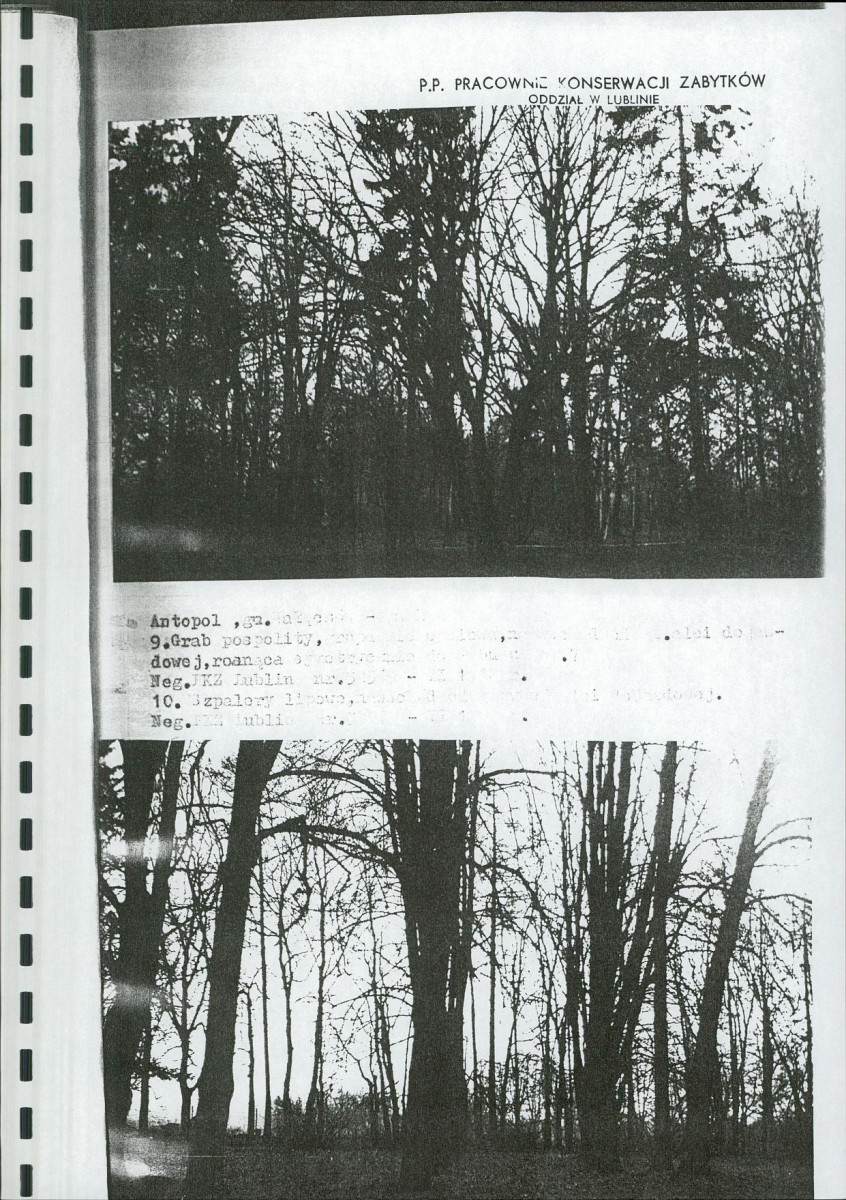 Ewidencja parkowa, skan nr 26