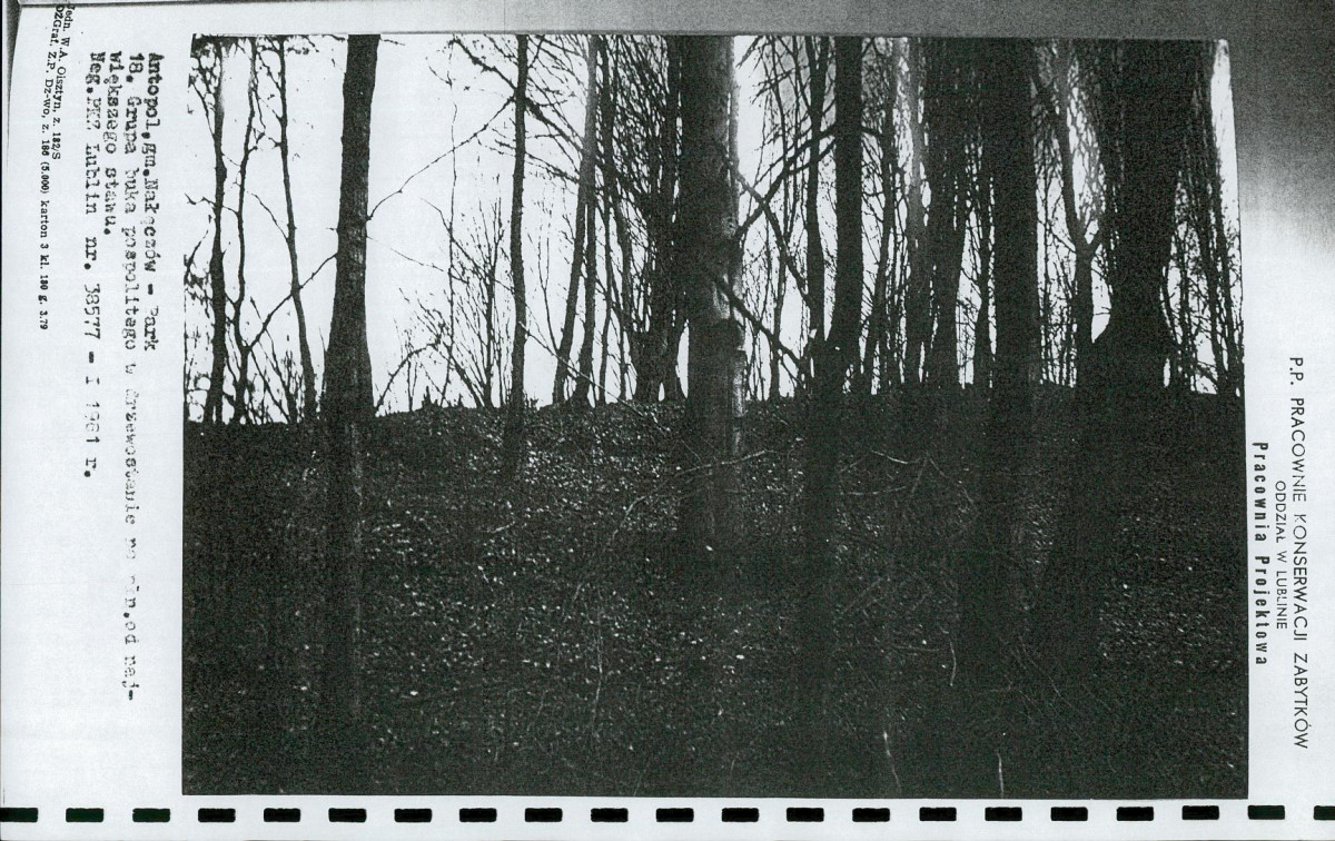 Ewidencja parkowa, skan nr 33