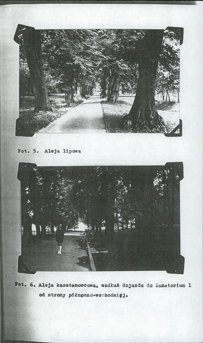 EP - Ewidencja parkowa, skan nr 23