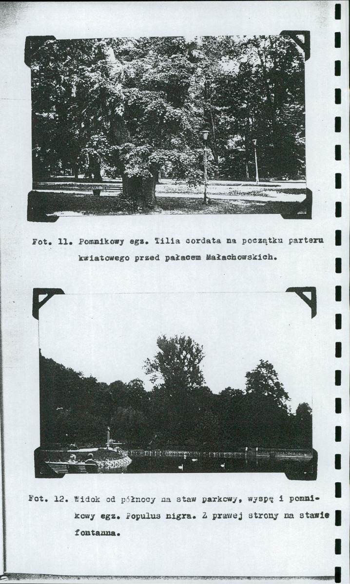 EP - Ewidencja parkowa, skan nr 26