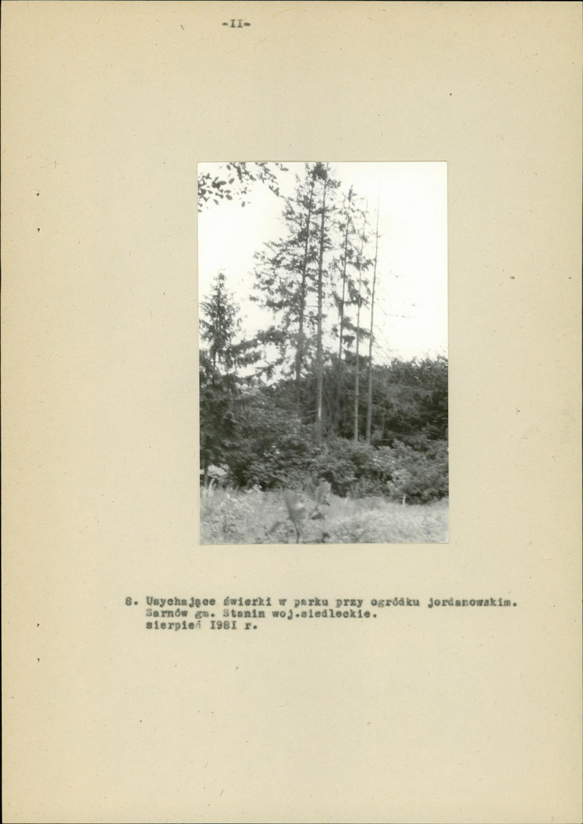 EP - Ewidencja parkowa, skan nr 16