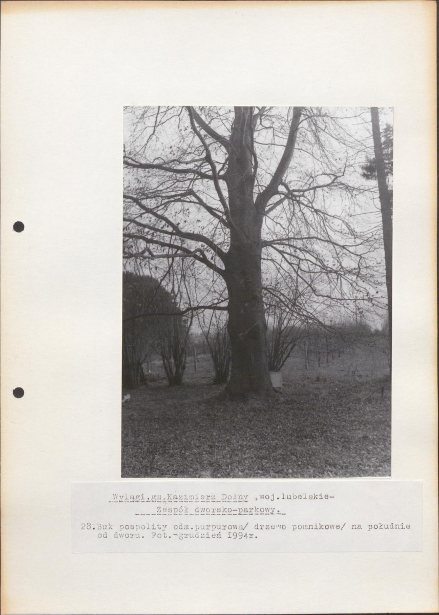 Ewidencja parkowa, skan nr 61