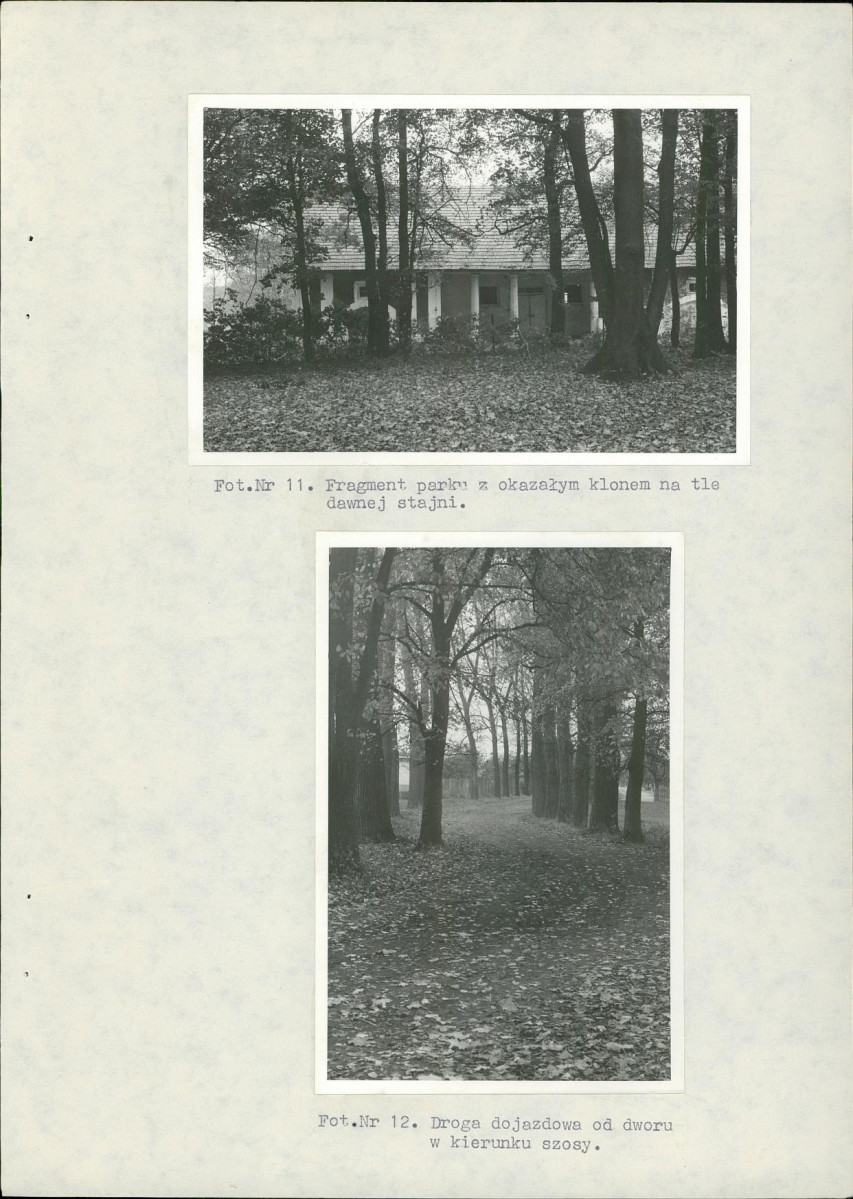EP - Ewidencja parkowa, skan nr 28