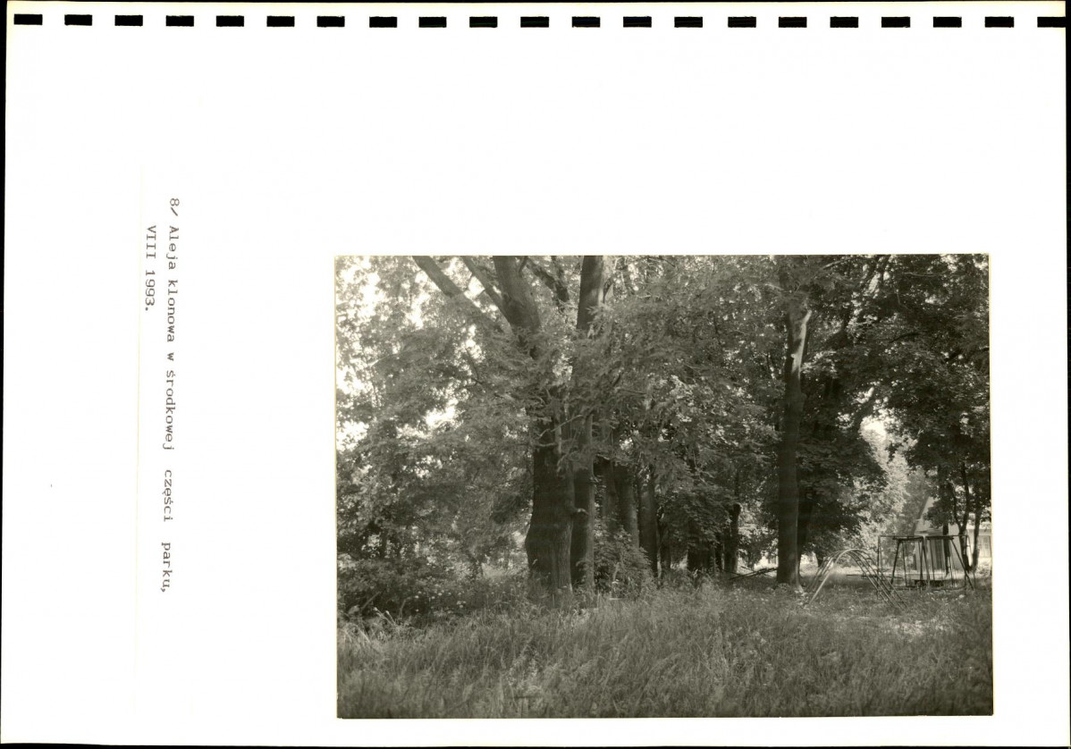 EP - Ewidencja parkowa, skan nr 25