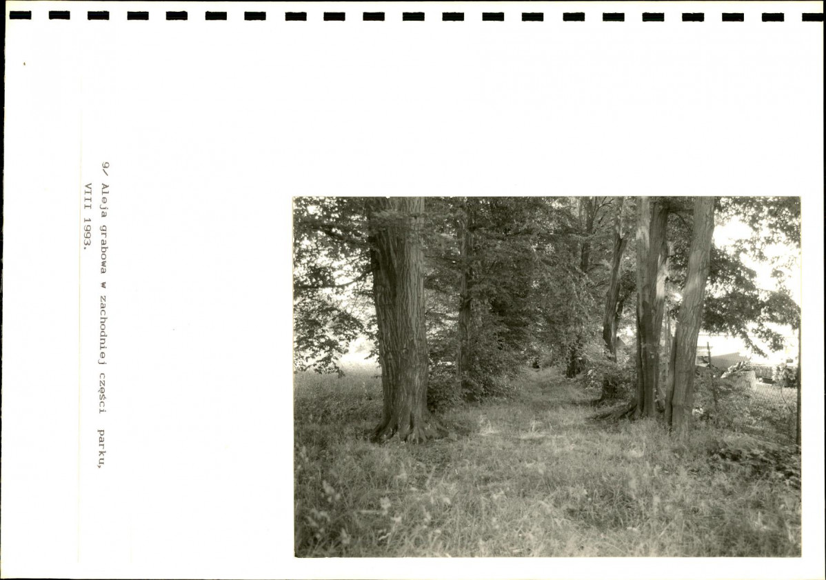 EP - Ewidencja parkowa, skan nr 26