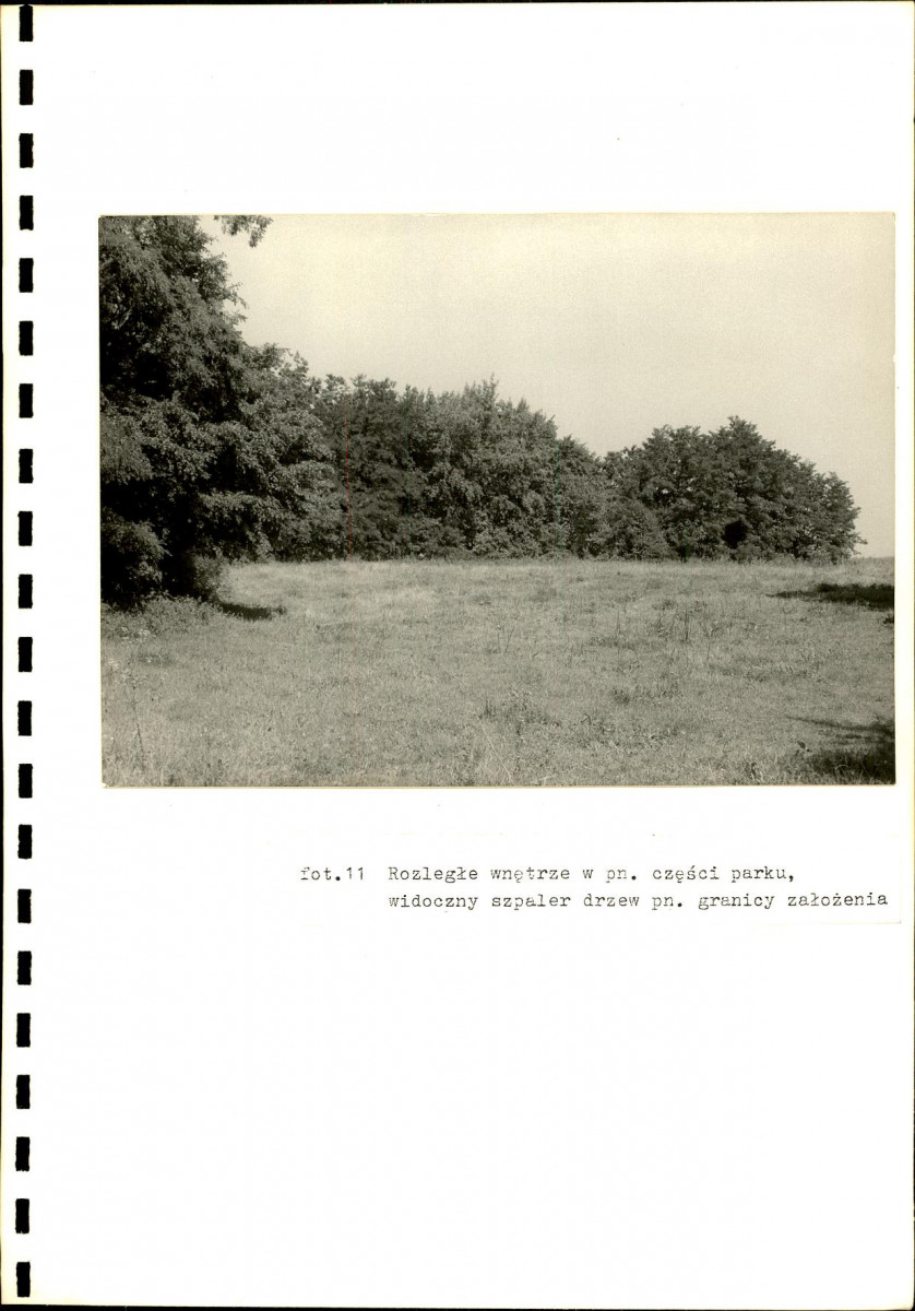 EP - Ewidencja parkowa, skan nr 36