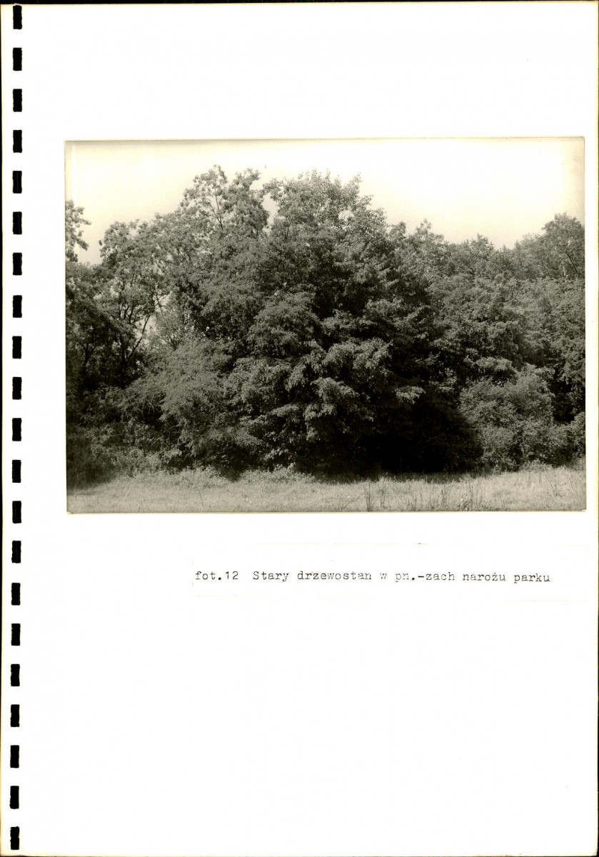 EP - Ewidencja parkowa, skan nr 37