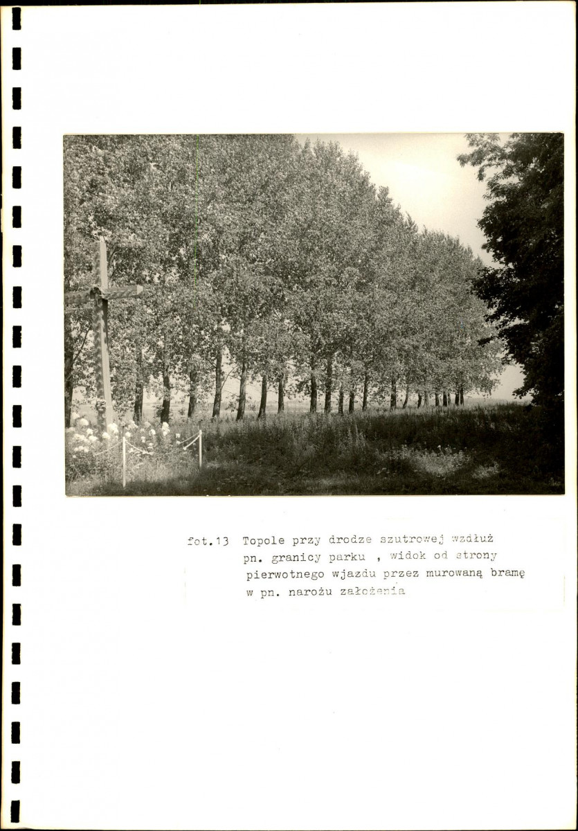 EP - Ewidencja parkowa, skan nr 38