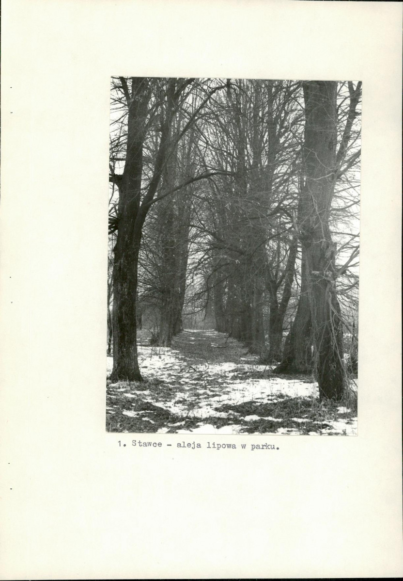 Ewidencja parkowa, skan nr 8