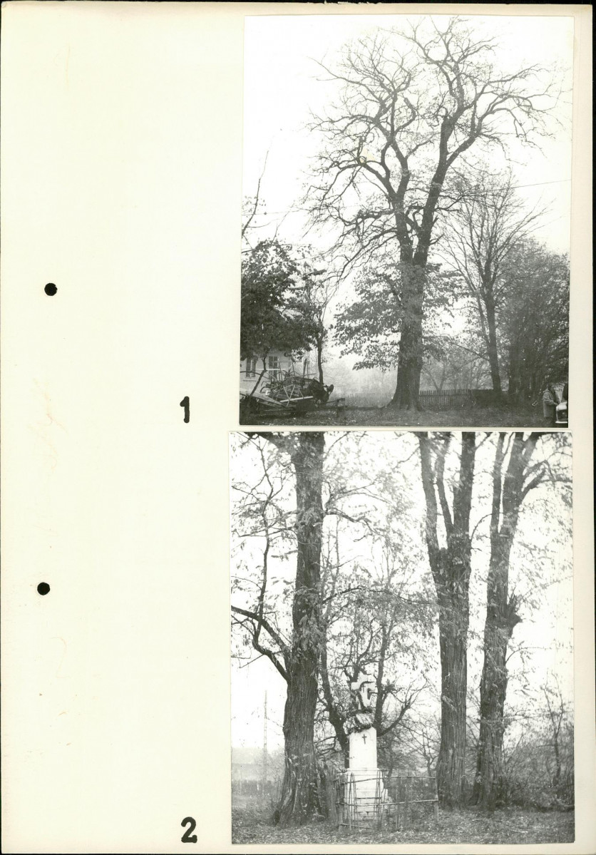 Ewidencja parkowa, skan nr 6