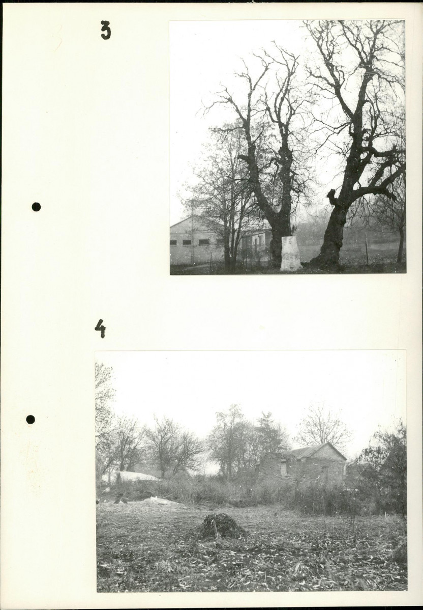 Ewidencja parkowa, skan nr 7