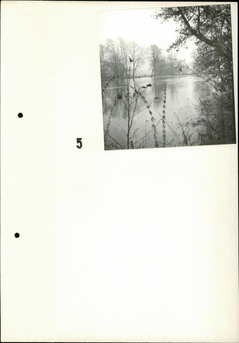 Ewidencja parkowa, skan nr 8