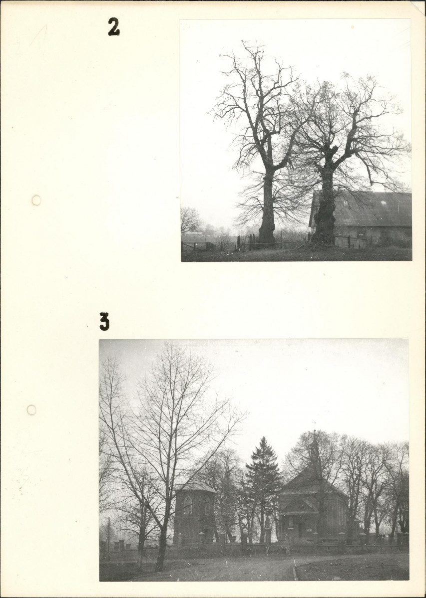 Ewidencja parkowa, skan nr 8