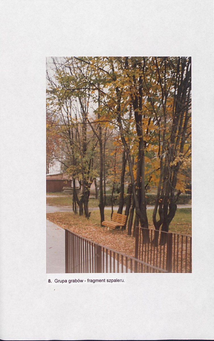 EP - Ewidencja parkowa, skan nr 41