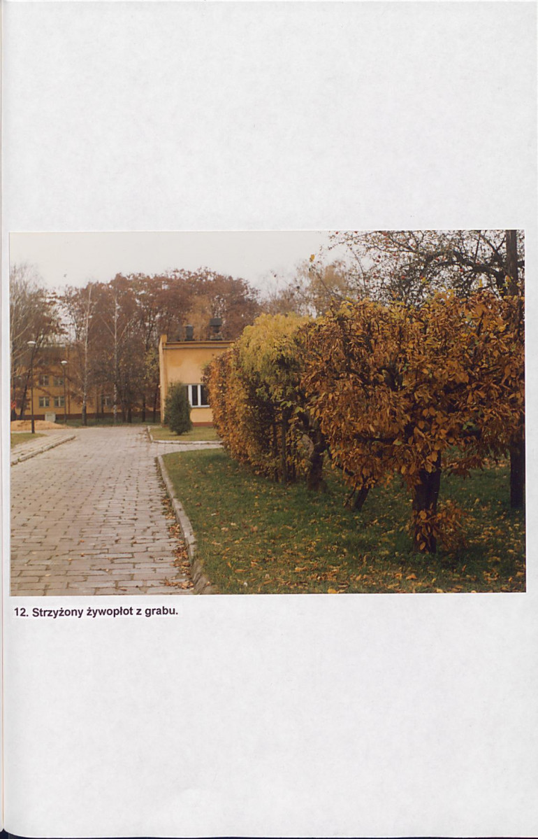 EP - Ewidencja parkowa, skan nr 44