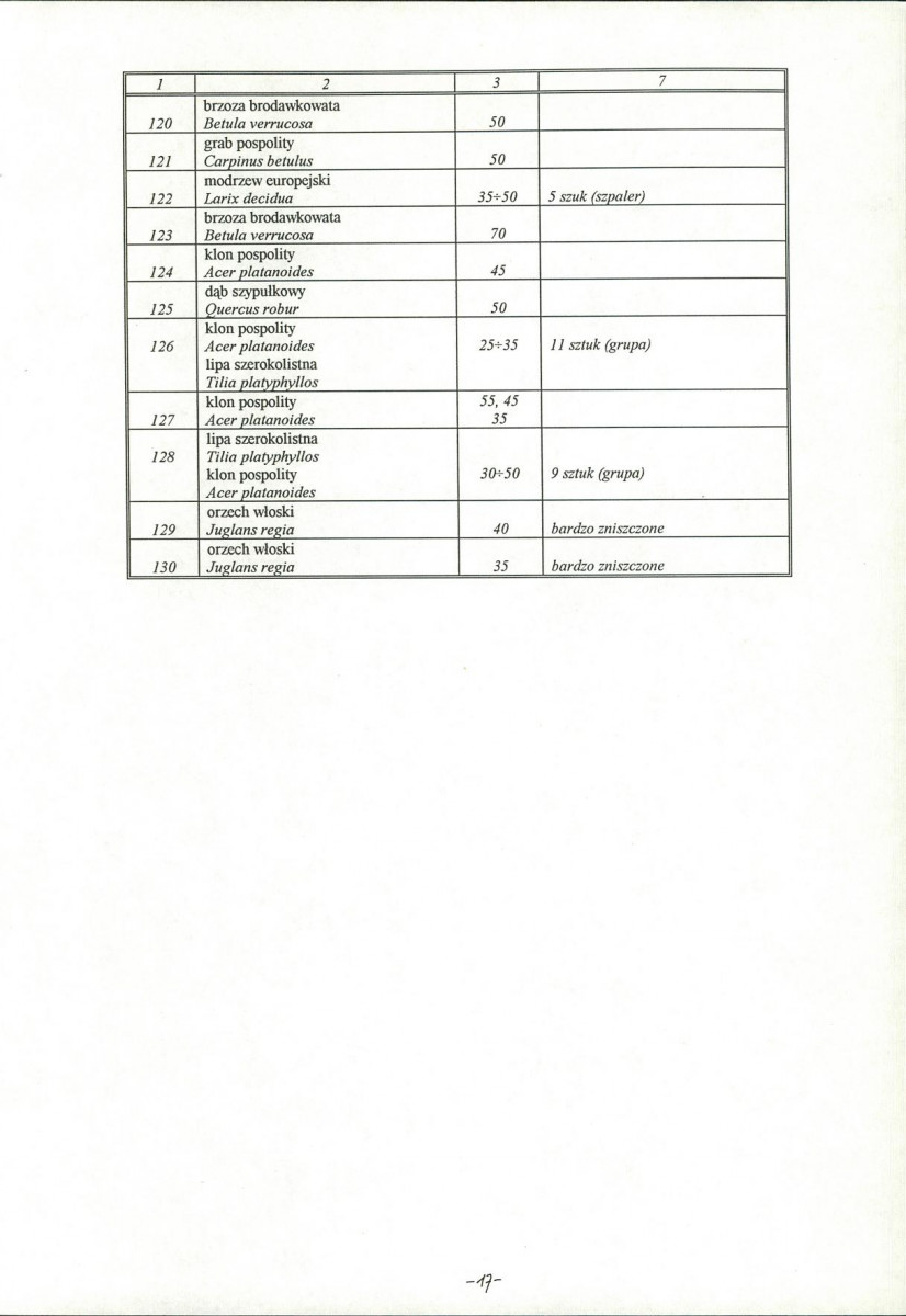 Ewidencja parkowa, skan nr 19