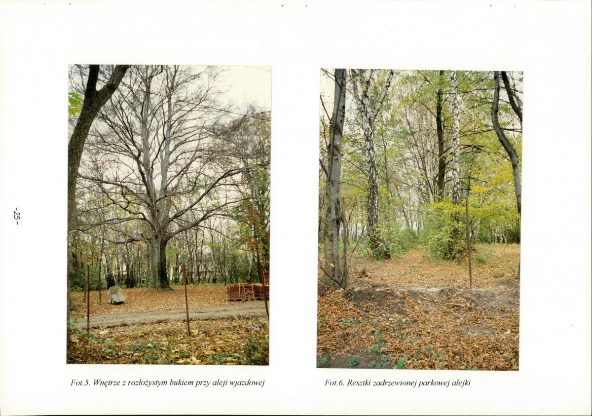 Ewidencja parkowa, skan nr 27