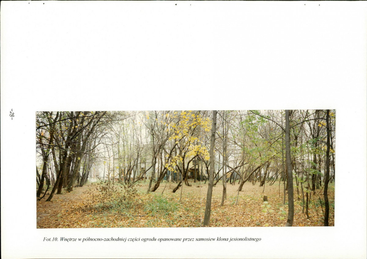 Ewidencja parkowa, skan nr 30