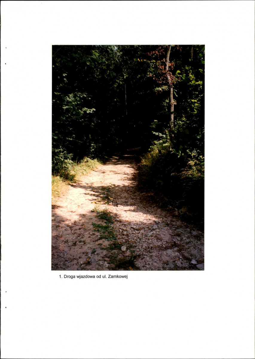 EP - Ewidencja parkowa, skan nr 37