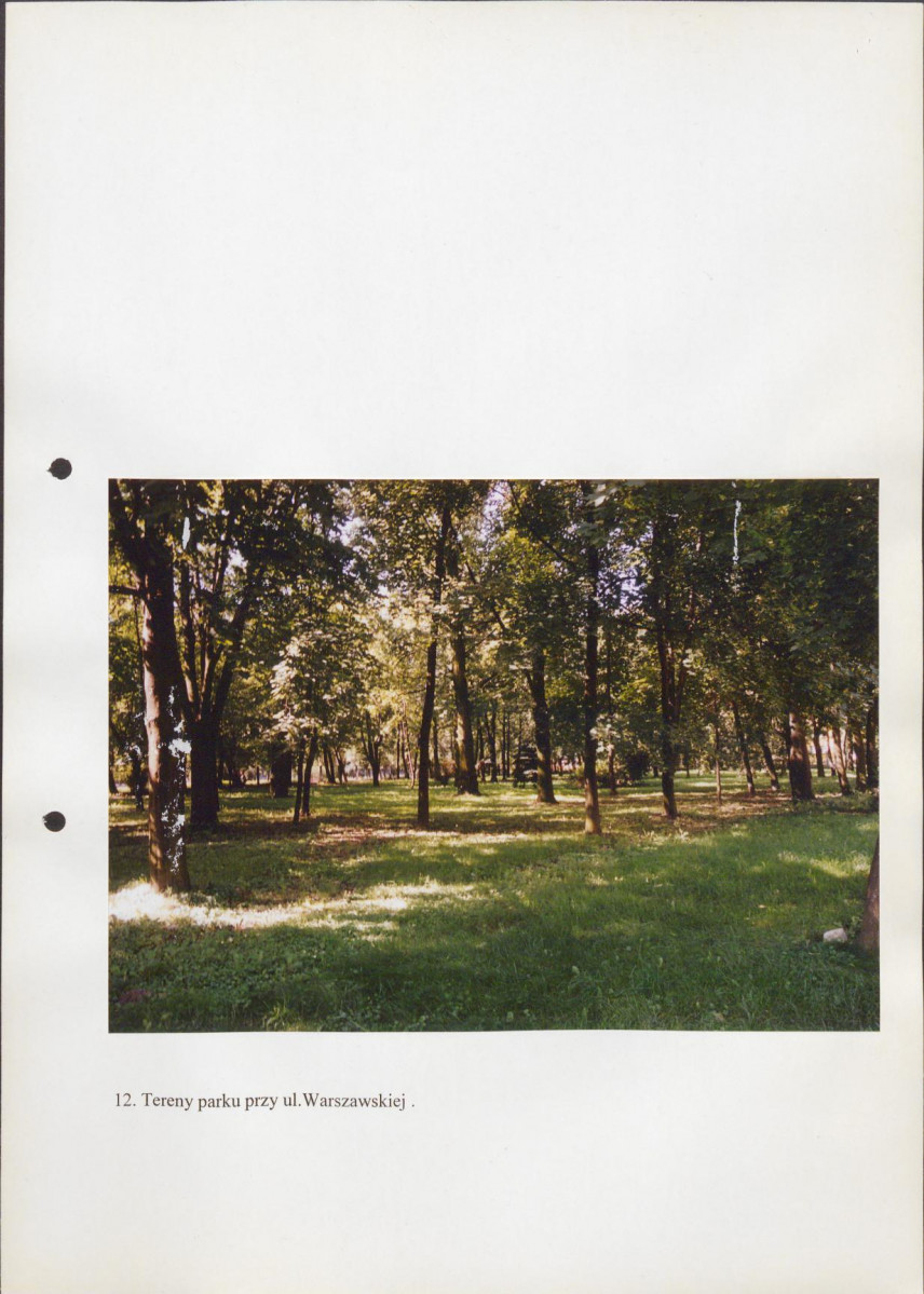 EP - Ewidencja parkowa, skan nr 53