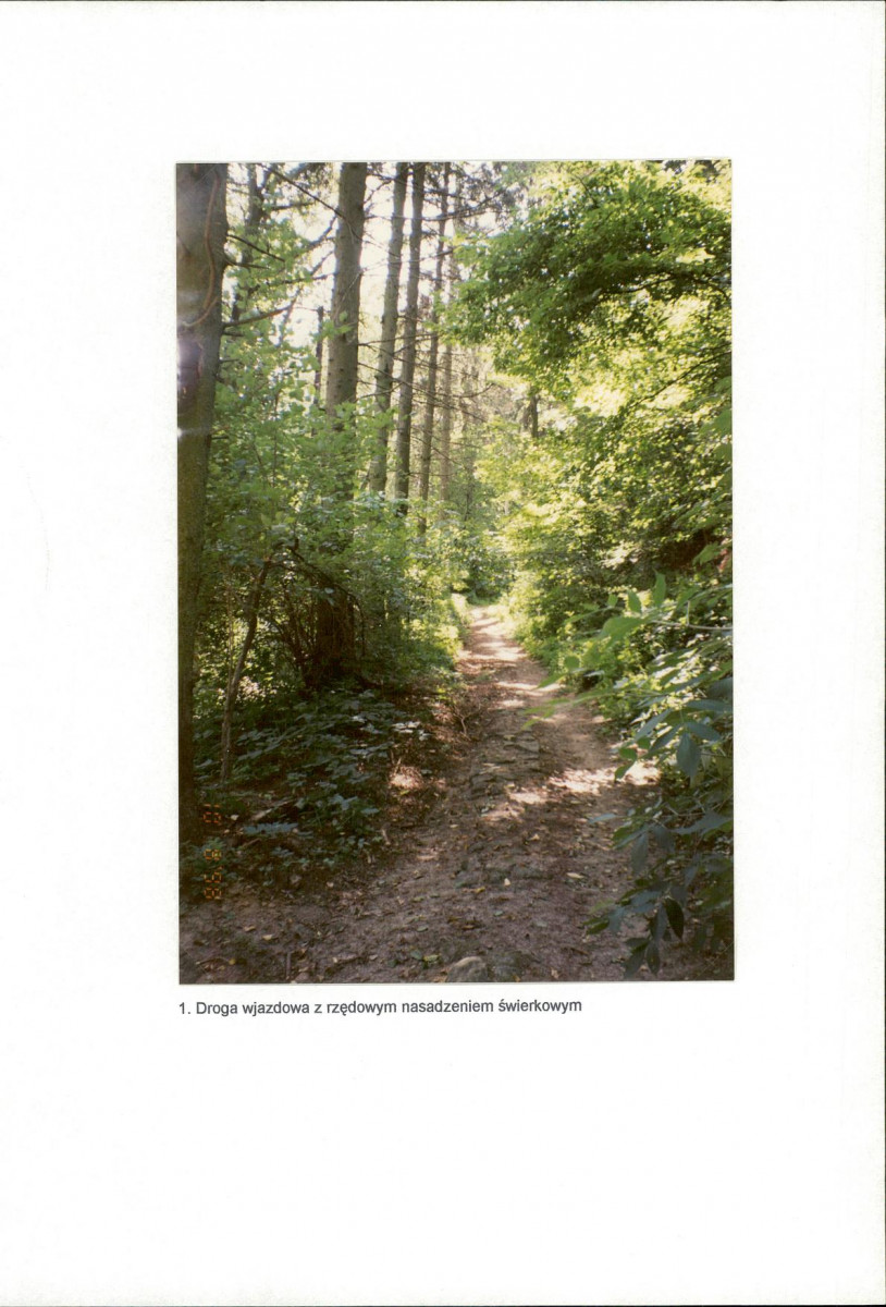 EP - Ewidencja parkowa, skan nr 27