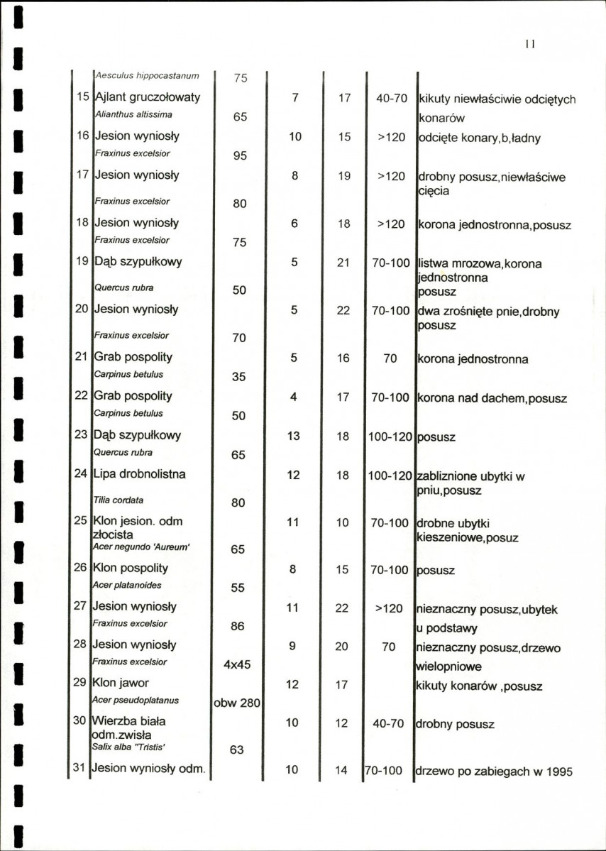 EP - Ewidencja parkowa, skan nr 16