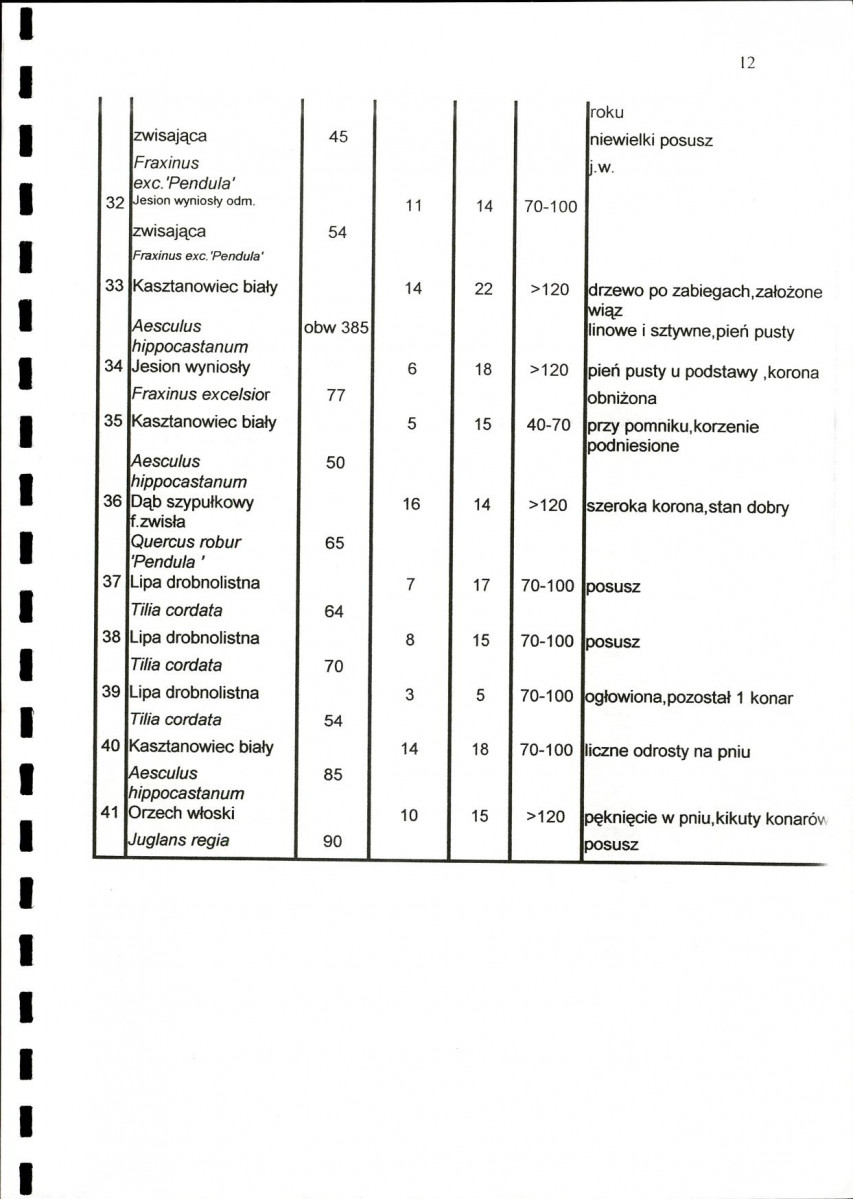 EP - Ewidencja parkowa, skan nr 17