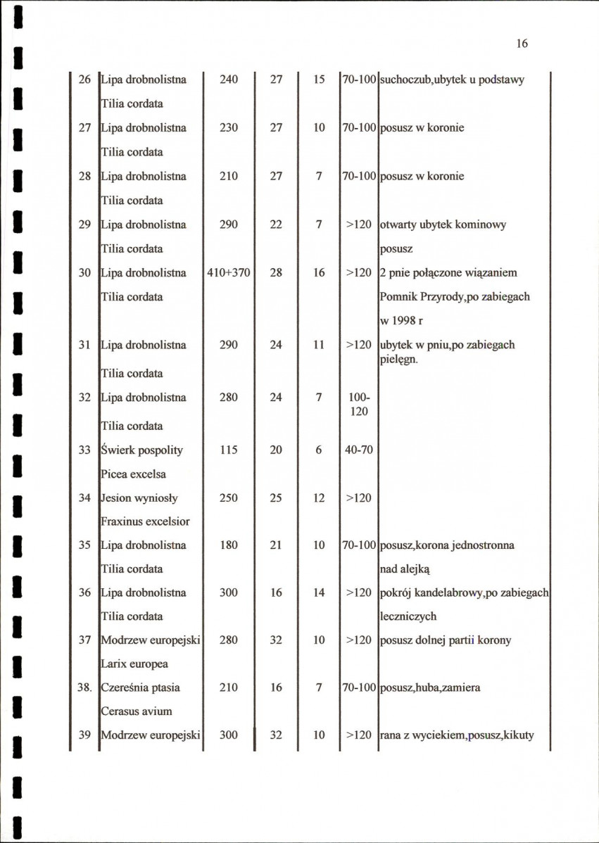EP - Ewidencja parkowa, skan nr 21