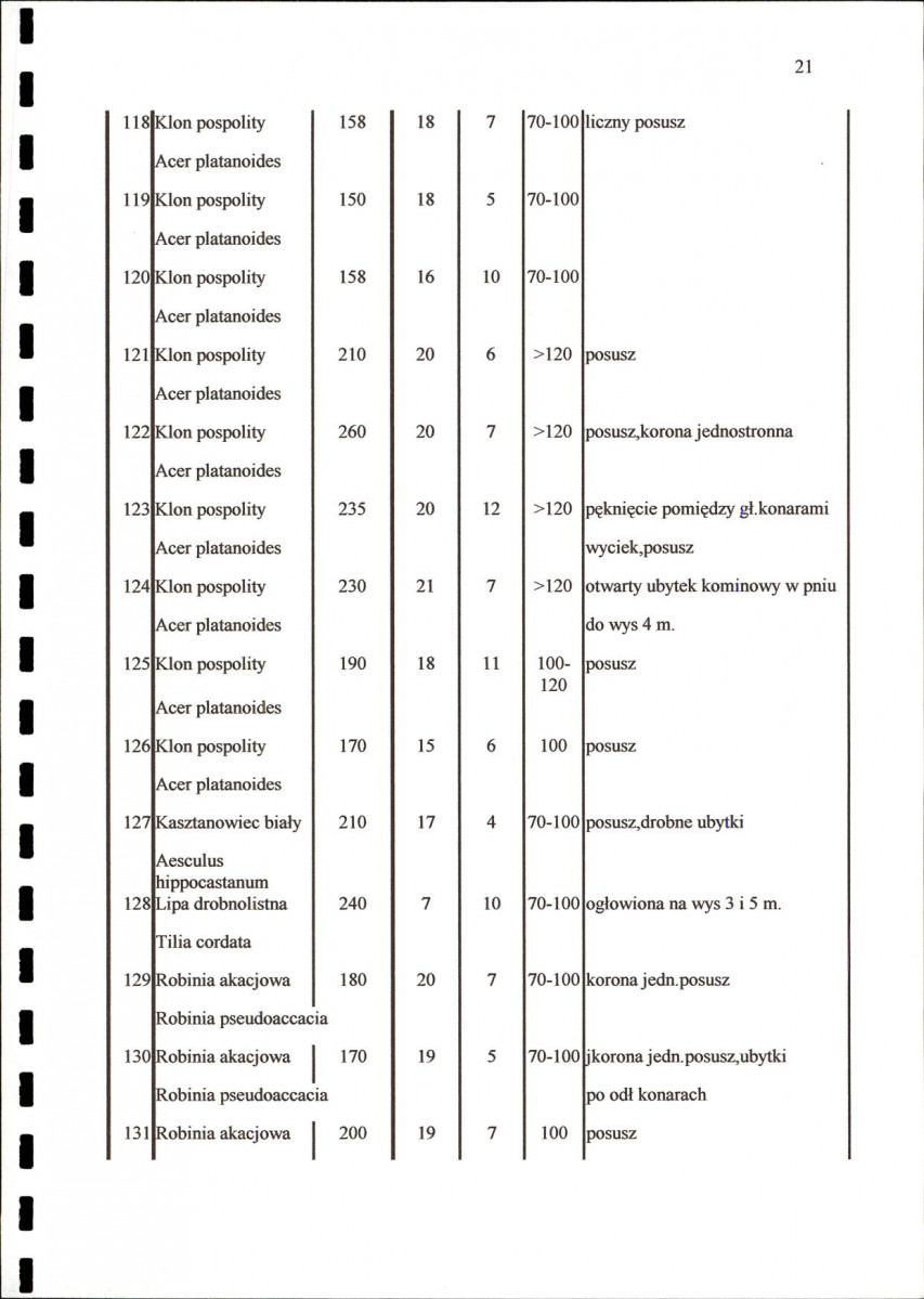 EP - Ewidencja parkowa, skan nr 26