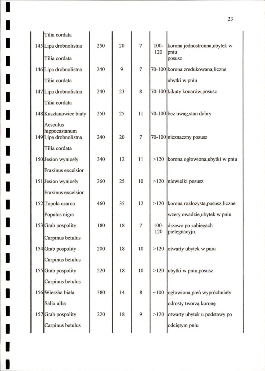 EP - Ewidencja parkowa, skan nr 28