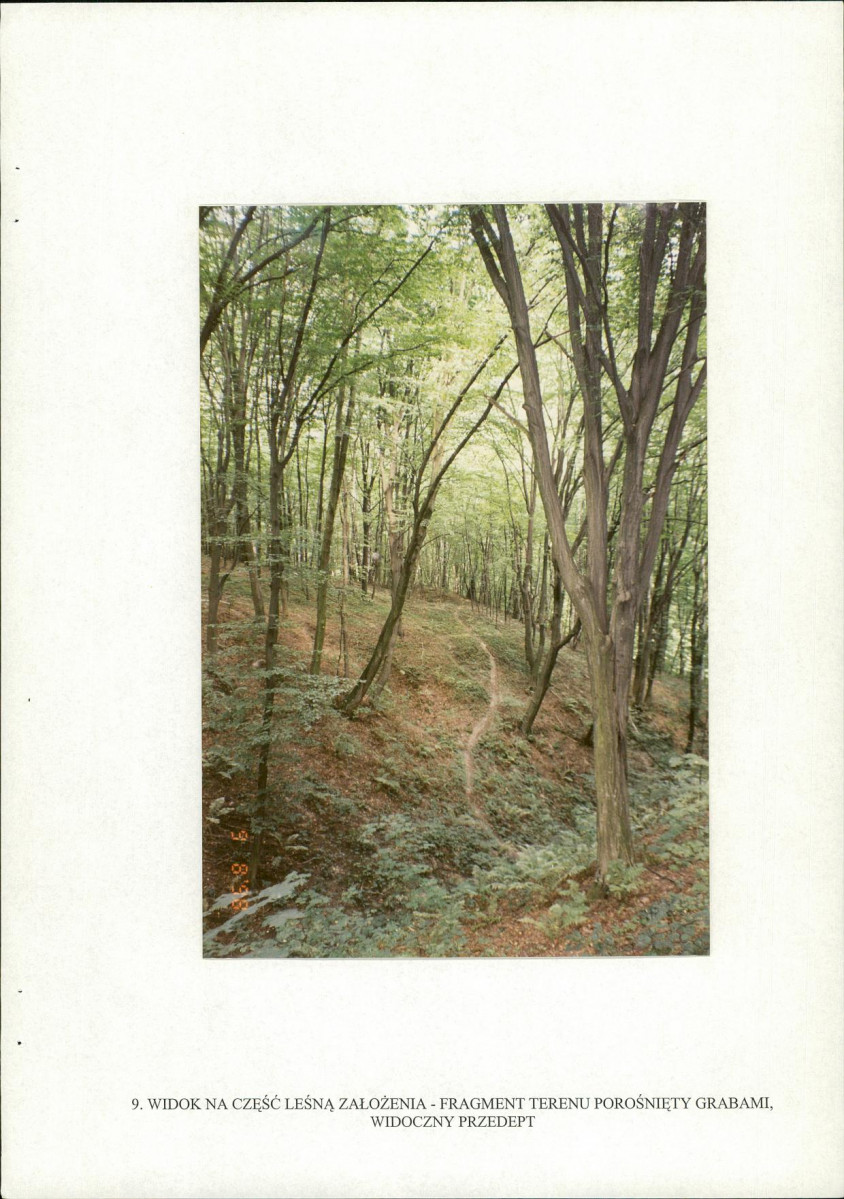 EP - Ewidencja parkowa, skan nr 46