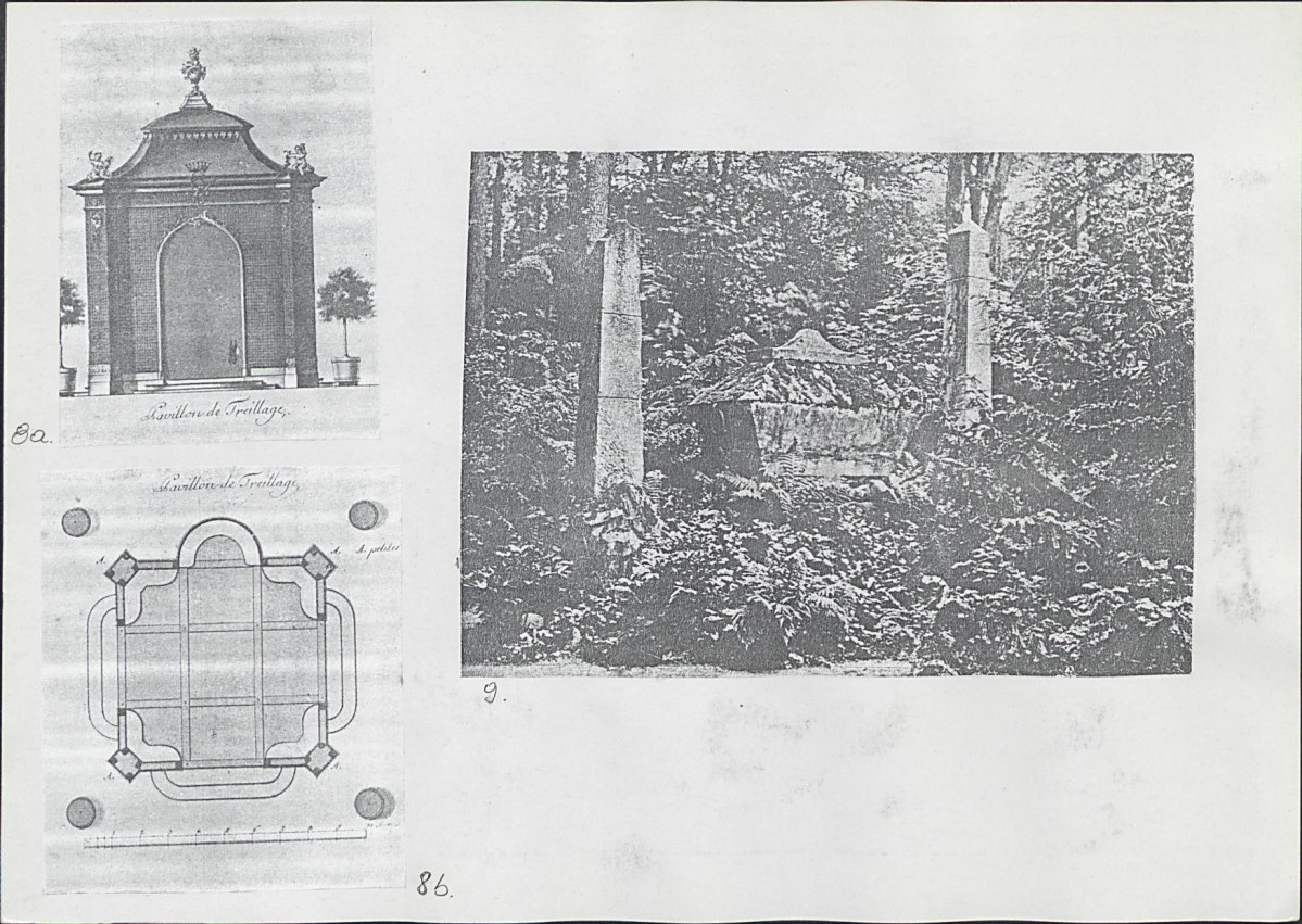 Karta biała, skan nr 10