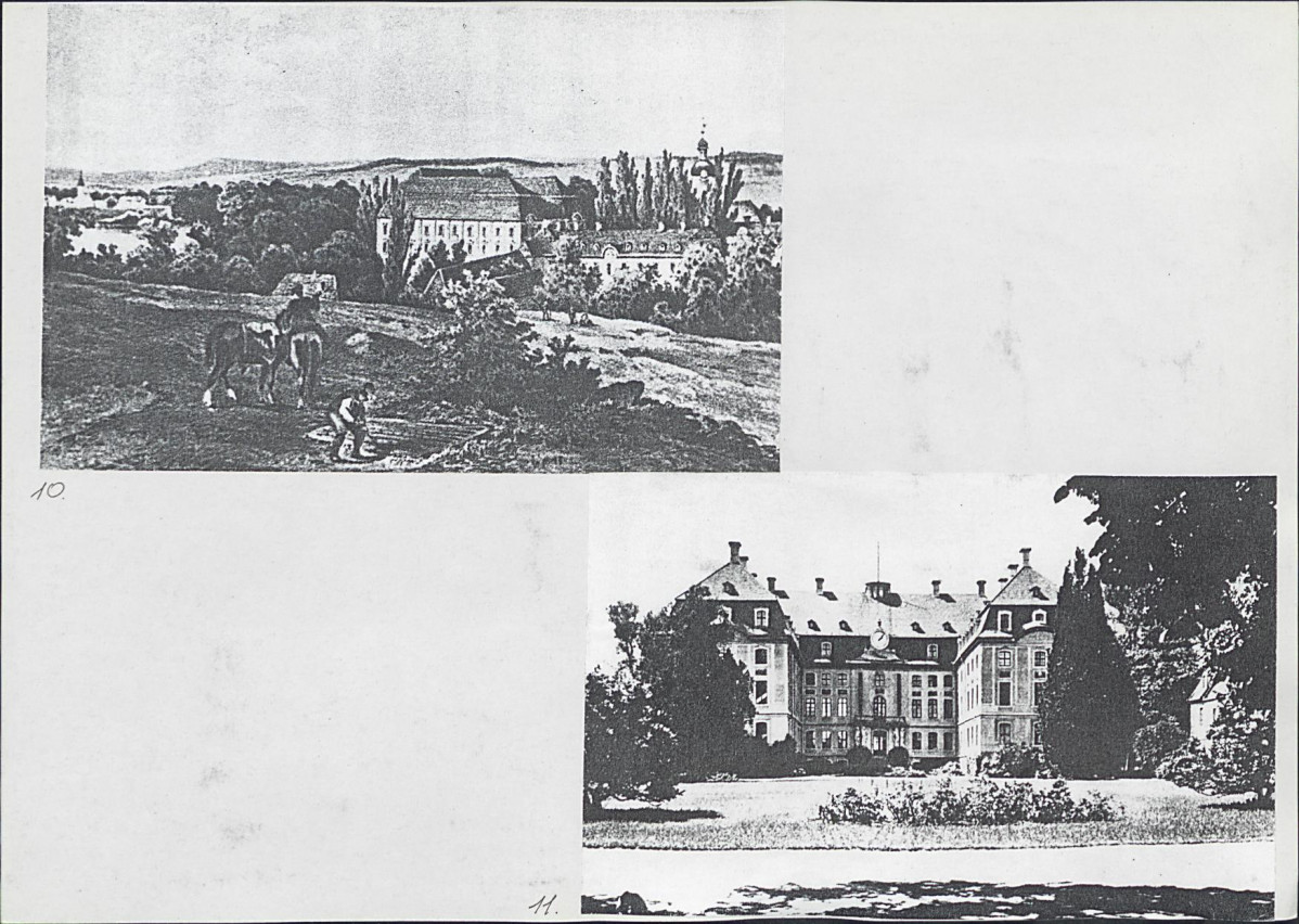 Karta biała, skan nr 11