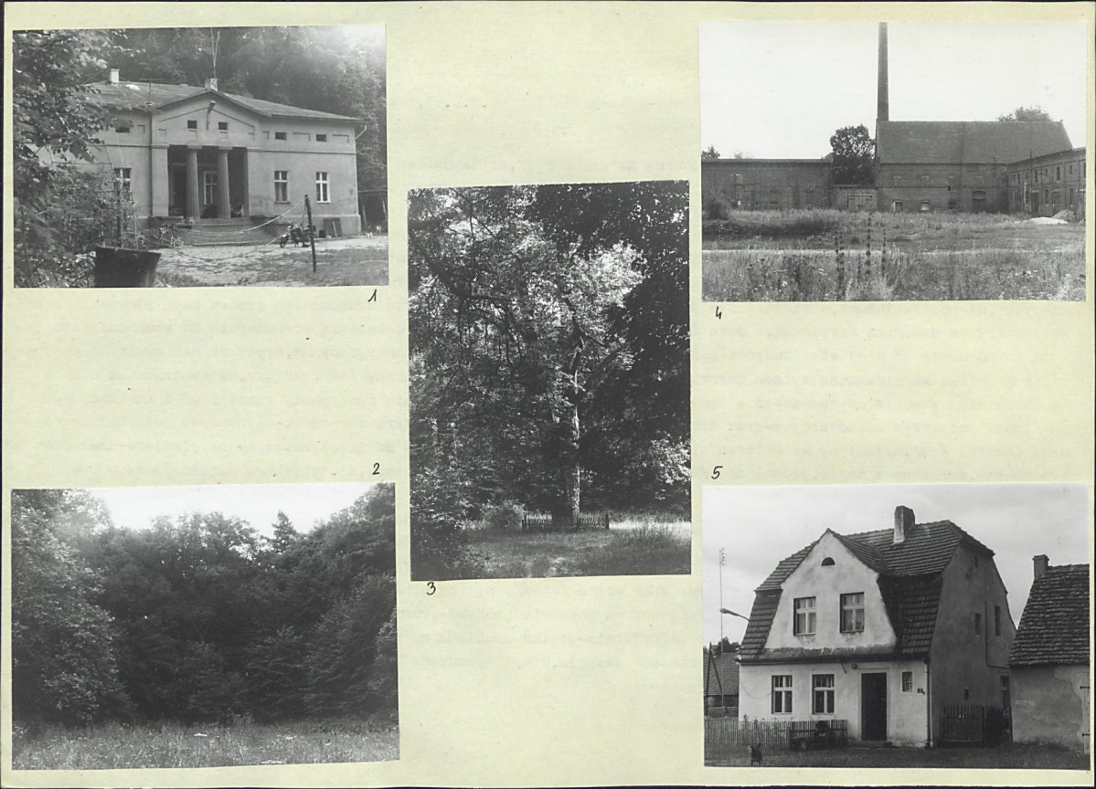 Karta biała, skan nr 8