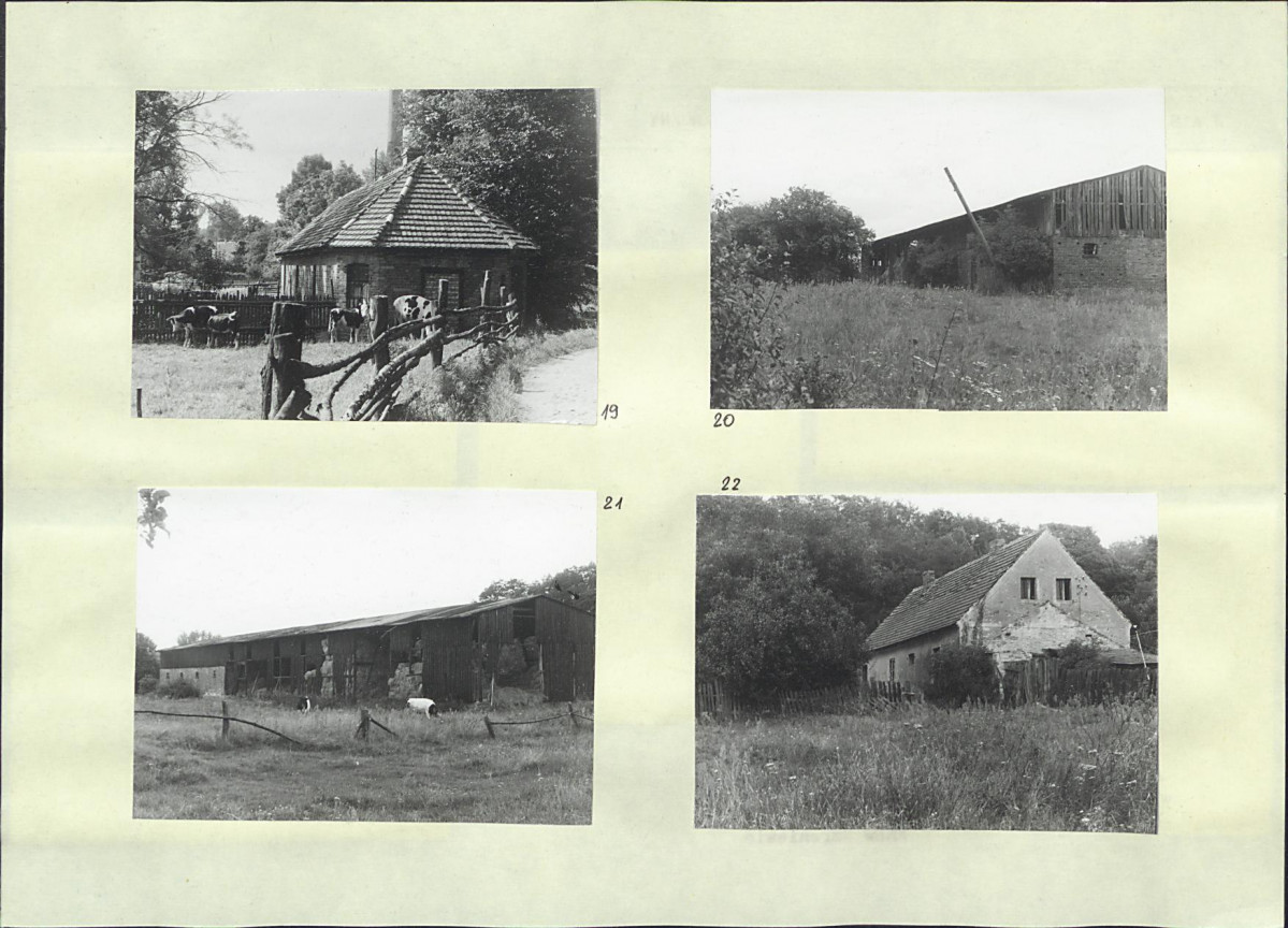 Karta biała, skan nr 12