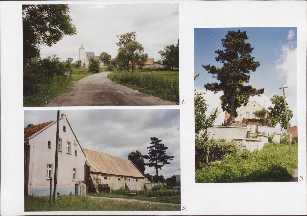 Karta biała, skan nr 6