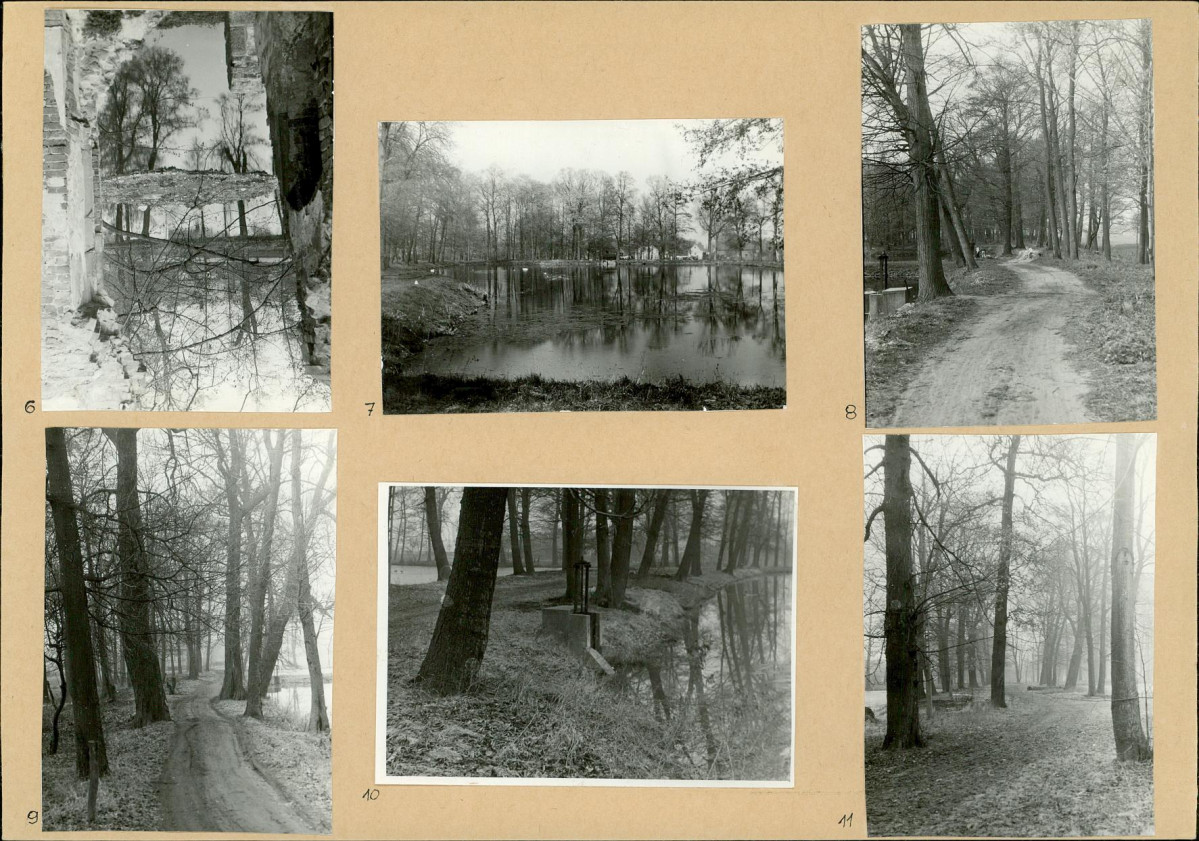 Karta biała, skan nr 10