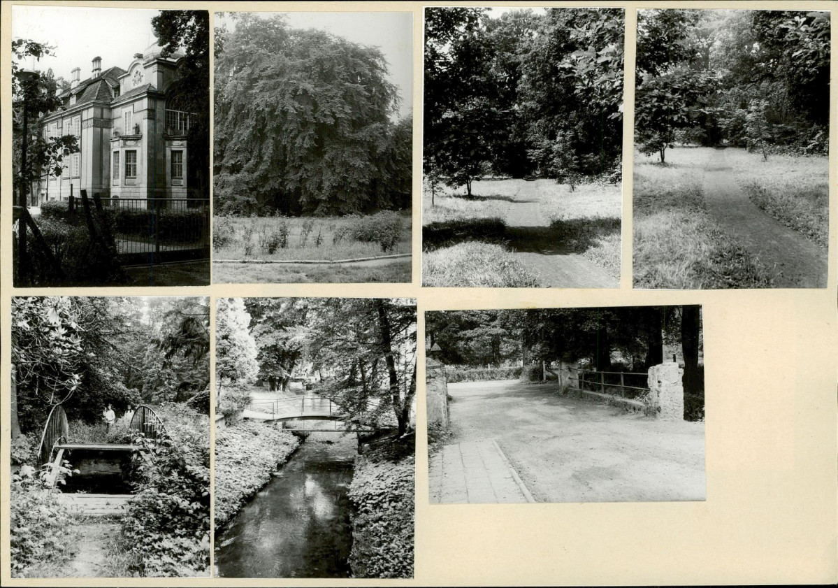 Karta biała, skan nr 10