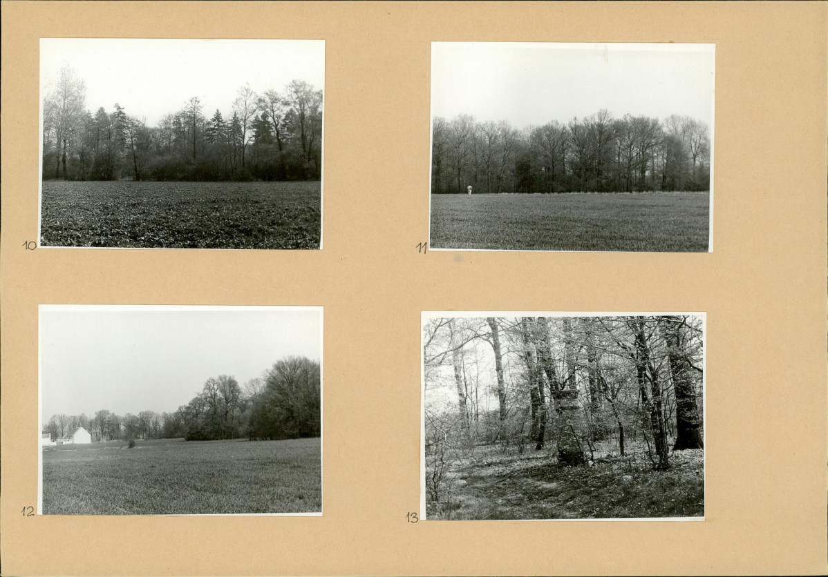 Karta biała, skan nr 10