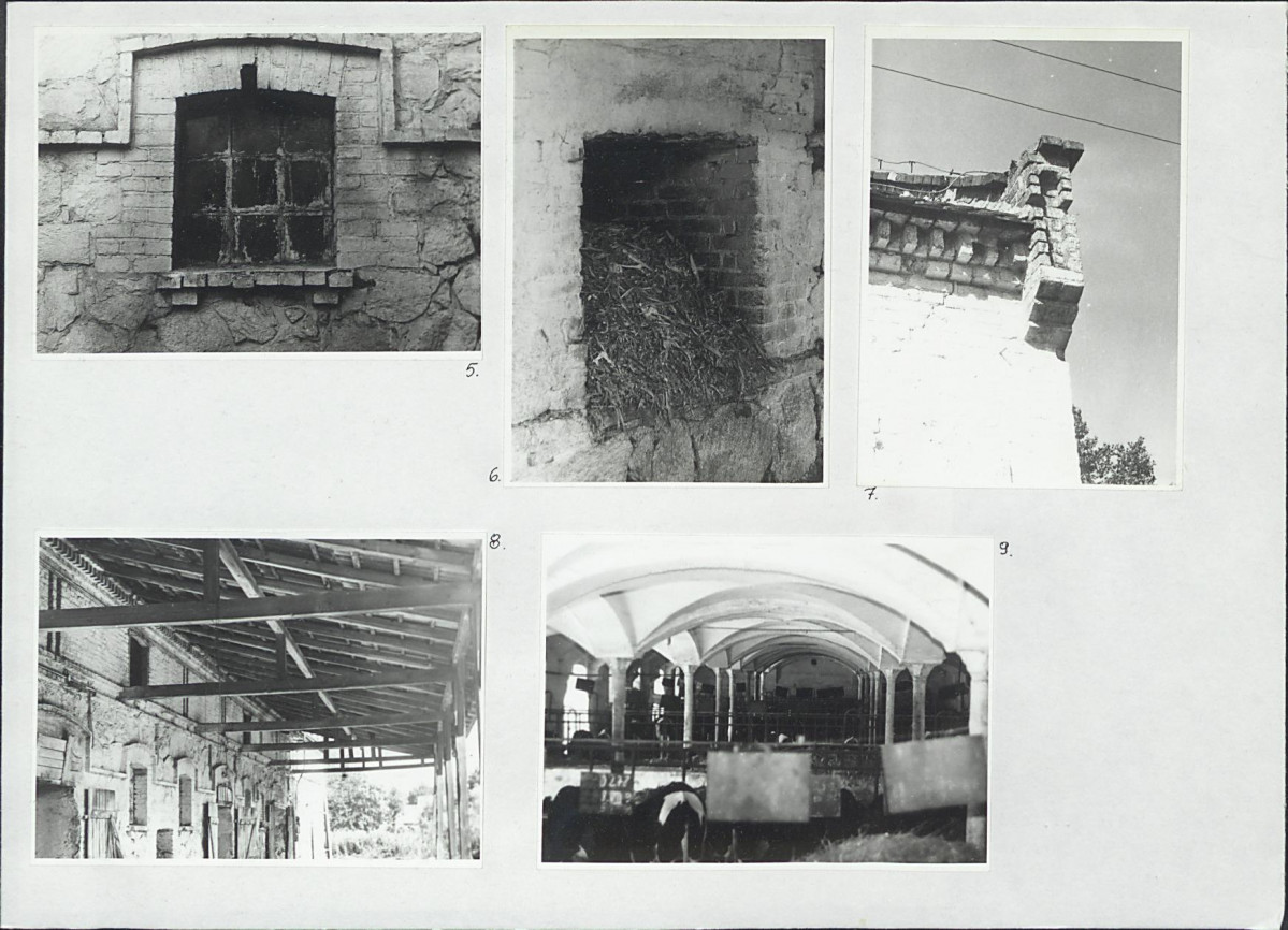 Karta biała, skan nr 8