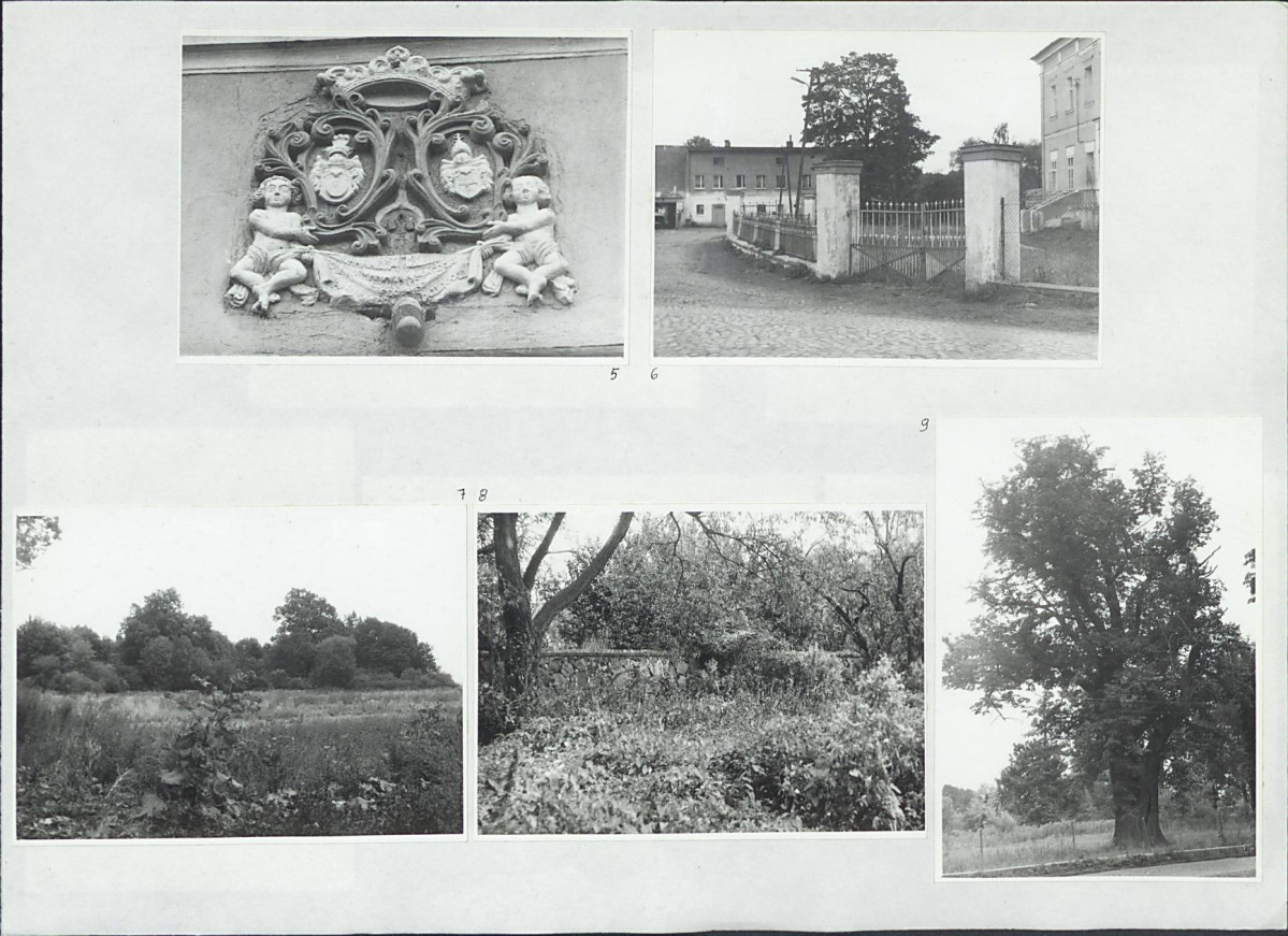 Karta biała, skan nr 14