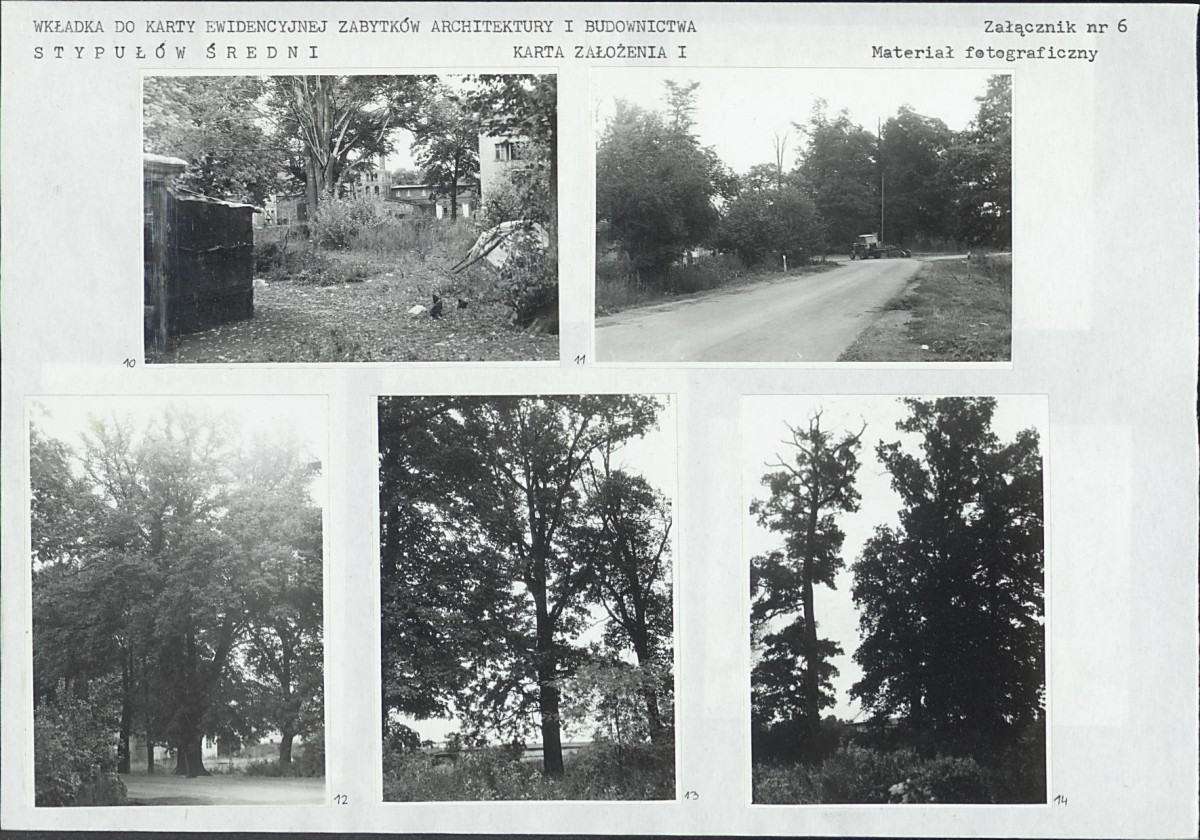 Karta biała, skan nr 15